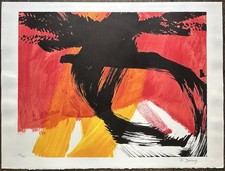 DOERIG Roswitha Lithographie