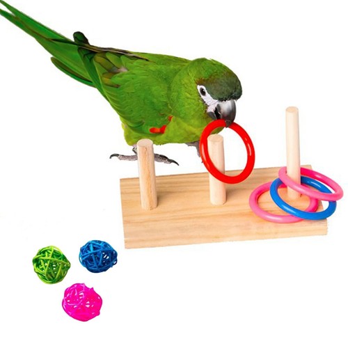 Mini perroquet jouets