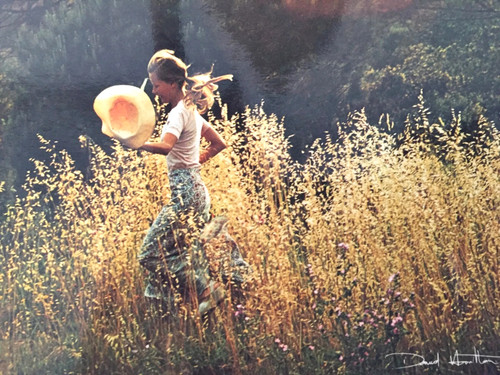 Carte postale david - postale,