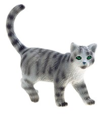 - 66363 - Pion - Chat british bleu minka