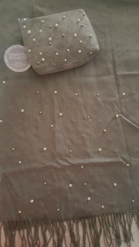 Nwt cosmetic bag scarf - nwt,