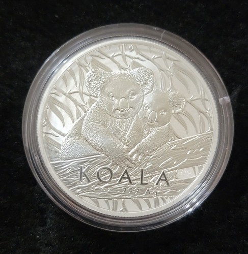 2025 australia koala oz - 1,