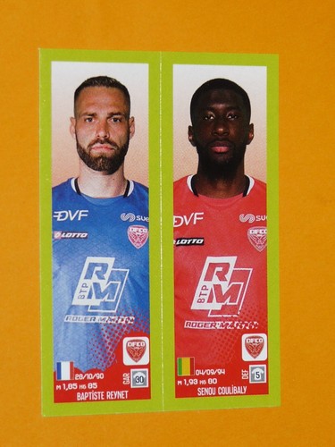 499 reynet coulibaly - reynet, dijon
