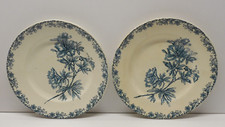 -2 ASSIETTES GRANDS ETABLISSEMENTS CERAMIQUE SAINT AMAND modèle FLORE    D