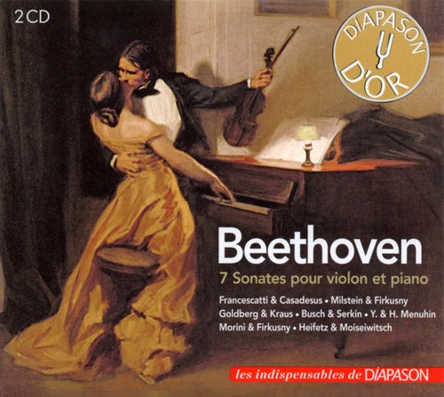 Ludwig van beethoven zino - ludwig,