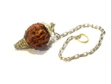 Pendule voyance graine Rudraksha sensibilité vibratoire  radiesthésie 17 mm