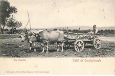 TURQUIE #FG55124 SALUT DE CONSTANTINOPLE CHARETTE ATTELAGE D BOEUFS ISTANBUL