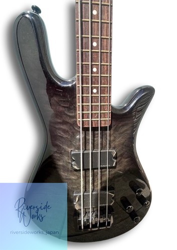 Basse électrique spector - basse,