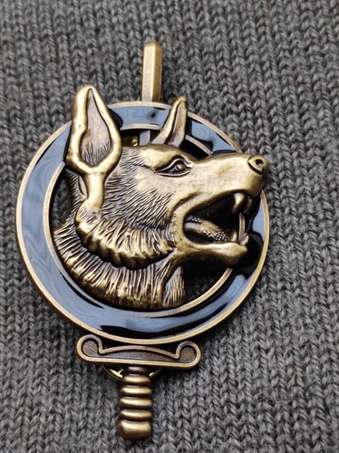 Insigne brevet chef equipe - brevet,