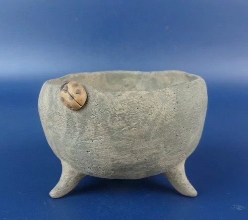Pot bonsaï japonais - bonsaï,