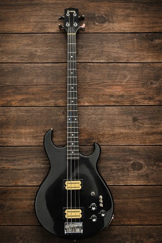 Vintage 1980 carvin 50 - vintage,