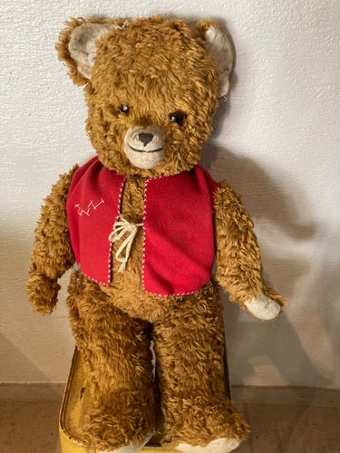 Grand ours peluche ancien - ours,