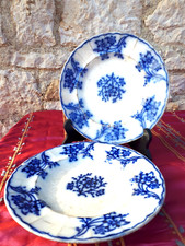 Lot 2 assiettes Actinie J.B