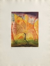 RENÉ CARCAN TRANSPARENCE DES