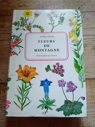 Fleurs montagne anthony - fleurs, montagne,