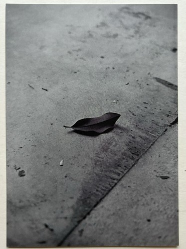 Bernard plossu carton d - -,
