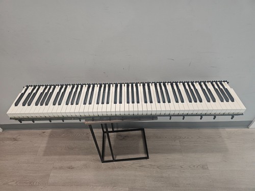 Black and white keys - white, for