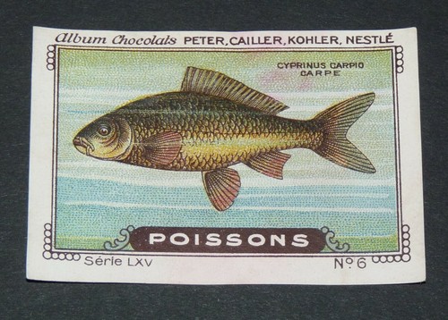Chromo peter cailler - cailler, kohler