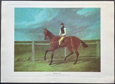 Chevaux célèbres Matilda