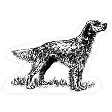 Autocollant Setter Anglais