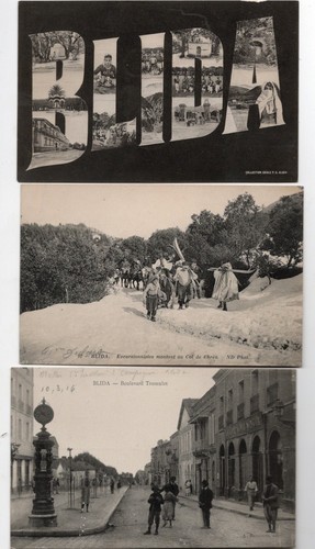 Carte postale algerie - algerie, lot