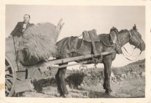 Ancienne photographie scene - scene, de