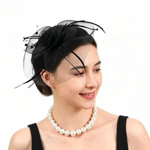 Coiffe mariée plumes - coiffe, en