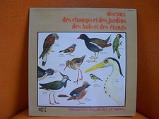 VINYL 33T – OISEAUX DES