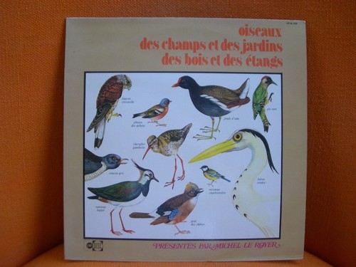 Vinyl 33t oiseaux - 33t,