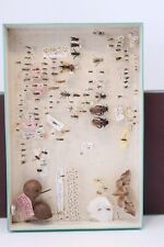 Cabinet de curiosité entomologie insectes boite prélèvement sphinx divers