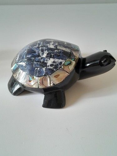 Tortue obsidienne et - tortue,