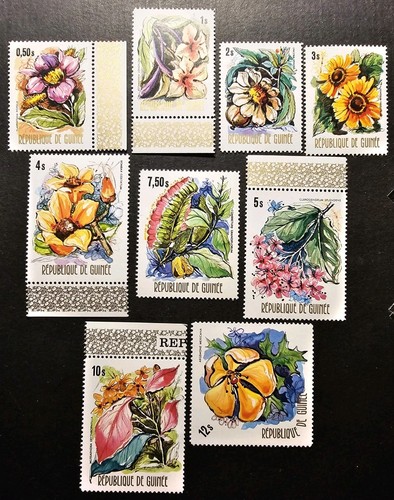 Timbre arique guinée - arique, flore