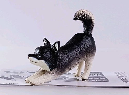 Chihuahua figurine mascotte - -,