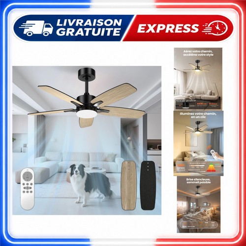 Ventilateur plafond silencieux - plafond,