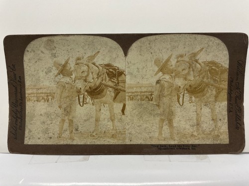 Stereoview stereoscope - stereoview,