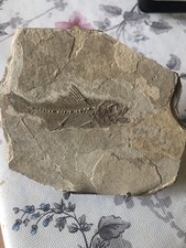 Vend Collection De Minéraux L Ensemble 