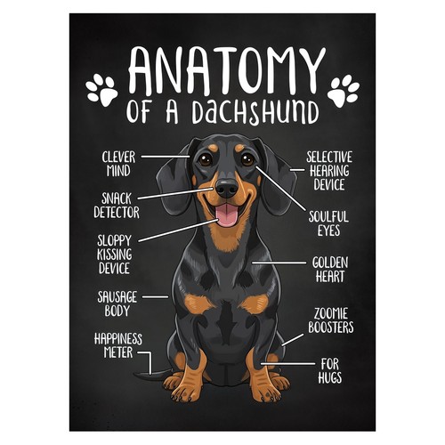 Affiche humoristique anatomie - affiche,