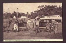 Carte postale Cameroun
