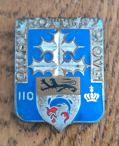 Insigne 110 régiment - ri,