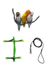 Bavoir Perroquets Taille