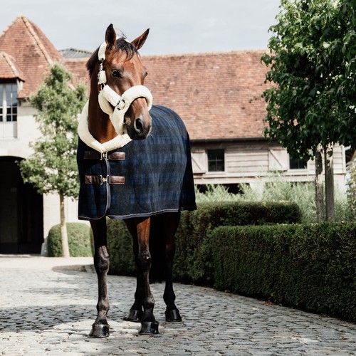 Kentucky horsewear fleece show - horsewear,