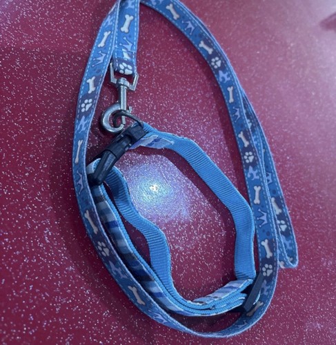 Lot collier laisse chien - collier, et