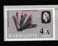 Barbade:1970:4c sur 5c-Haut de