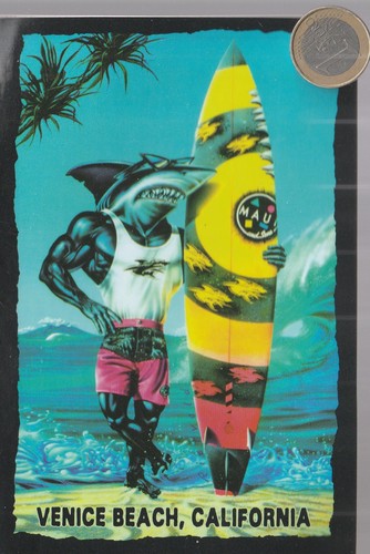 Autocollant jtsport3 surf - autocollant,