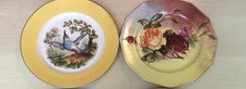 2 Assiettes Porcelaine Limoges Vintage Motif Fleuri  Et  Oiseau collection Déco 