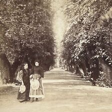 SUEDE Stockholm L’ Allée de Ulriksdal Parc Royal 1897 Photo Stereo Vintage