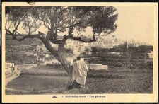TUNISIE - SIDI BOU SAID - Carthage - Carte Postale - N° 177 - CPA