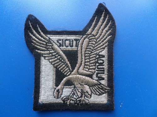 Patch sicut aquila - aquila,