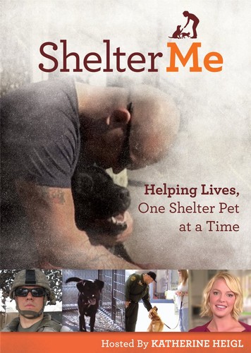 Shelter - , (dvd)