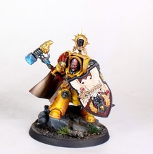 READY TO SHIP / PRET pro painted Darnath Lysander Imperial Fists warhammer 40k